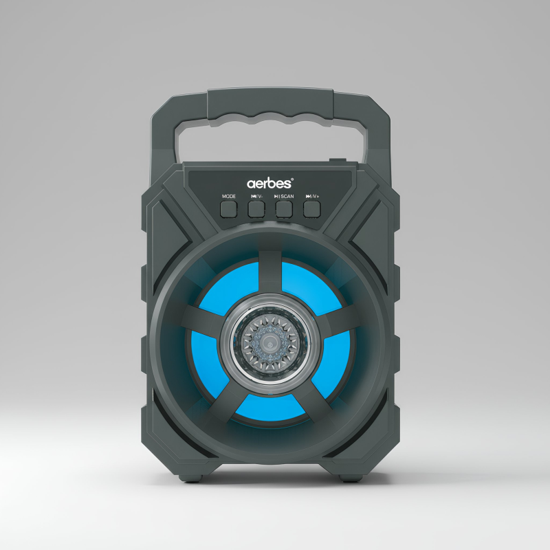 Portable Bluetooth Speaker (Hand-Carry Type)